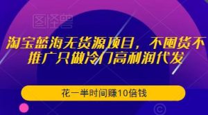 淘宝蓝海无货源项目，不囤货不推广只做冷门高利润代发，花一半时间赚10倍钱-最全资源库