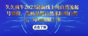 久久疯牛2023最新线上纯自然流起号课程，老杨是把自然流玩明白的人，可以闭眼上车-最全资源库