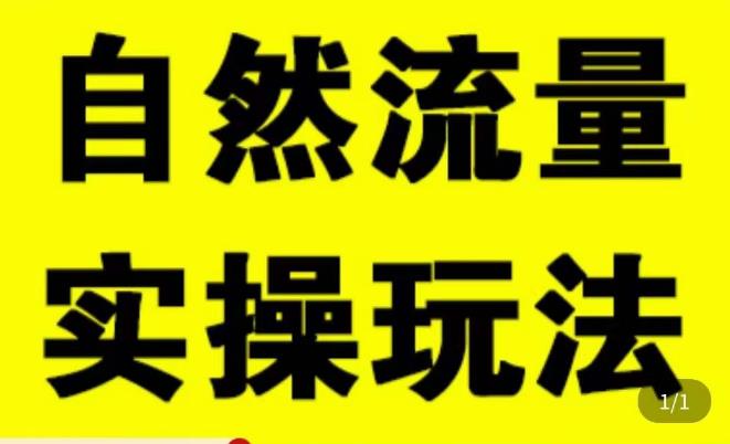 拼多多自然流量天花板,拼多多自然流的实操玩法,自然流量是怎么来的,如何开车带来自然流等知识-最全资源库