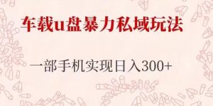 车载u盘暴力私域玩法,长期项目,仅需一部手机实现日入300+-最全资源库