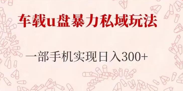 车载u盘暴力私域玩法,长期项目,仅需一部手机实现日入300+-最全资源库