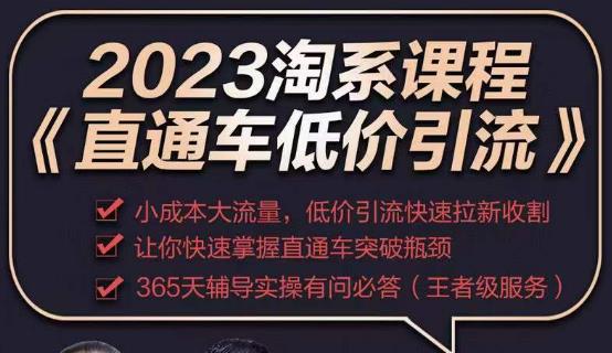 2023直通车低价引流玩法课程,小成本大流量,低价引流快速拉新收割,让你快速掌握直通车突破瓶颈-最全资源库