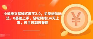 小说推文保姆式教学2.0，另类进阶玩法，0基础上手，轻松月撸1w无上限，可主可副可兼职-最全资源库