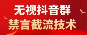 外面卖1500抖音粉丝群无视禁言截流技术，抖音黑科技，直接引流，0封号-最全资源库