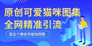 黑科技纯原创可爱猫咪图片，全网精准引流，实操5个VX号被加频繁-最全资源库