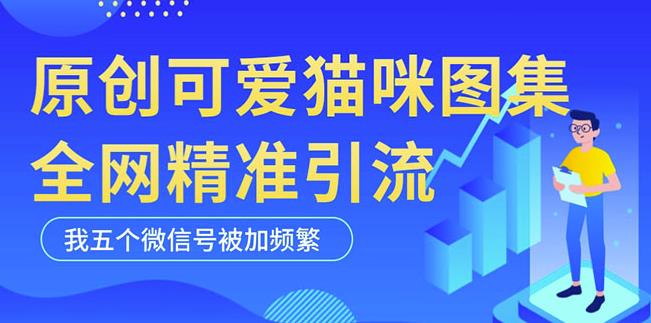 黑科技纯原创可爱猫咪图片，全网精准引流，实操5个VX号被加频繁-最全资源库