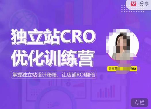 独立站CRO优化训练营,掌握独立站设计秘籍,打造高转化的独立站,让店铺ROI翻倍-最全资源库