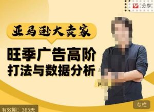 阿甘·亚马逊大卖家广告高阶打法与数据分析,走出传统广告误区;揭秘大卖惯用打法;数据驱动广告决策-最全资源库