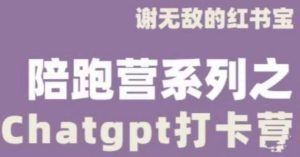 谢无敌ChatGPT打卡营,教你更好地使用ChatGPT来提高工作效率-最全资源库