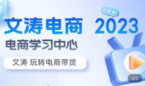 文涛电商·7天零基础自然流起号，​快速掌握店铺运营的核心玩法，突破自然展现量，玩转直播带货-最全资源库