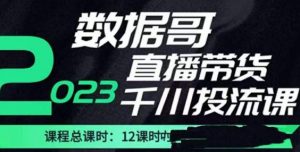 数据哥2023直播电商巨量千川付费投流实操课,快速掌握直播带货运营投放策略-最全资源库