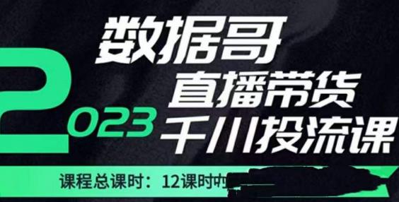 数据哥2023直播电商巨量千川付费投流实操课,快速掌握直播带货运营投放策略-最全资源库