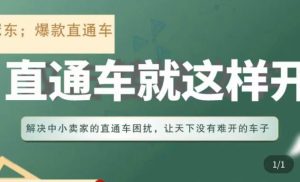 冠东·淘系直通车保姆级教程，全面讲解直通车就那么简单-最全资源库