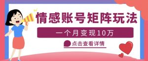 云天情感账号矩阵项目,简单操作,月入10万+可放大(教程+素材)-最全资源库