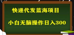 2023最新蓝海快递代发项目，小白零成本照抄也能日入300+-最全资源库