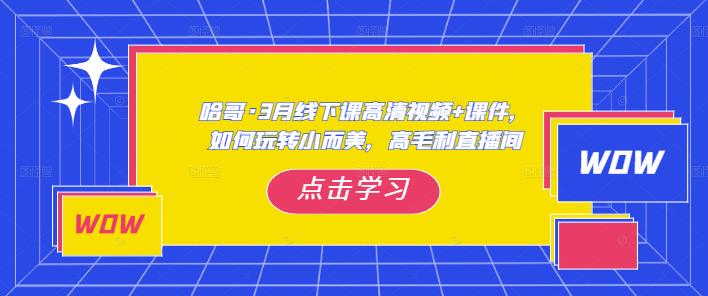 哈哥·3月线下实操课高清视频+课件,如何玩转小而美,高毛利直播间-最全资源库