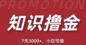 抖音知识撸金项目：简单粗暴日入1000+执行力强当天见收益(教程+资料)-最全资源库