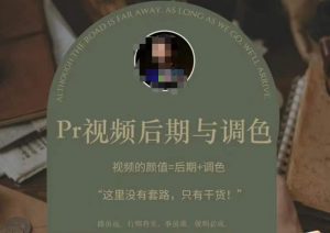 Pr视频后期与调色,视频颜值=后期+调色,这里没有套路,只有干货!-最全资源库