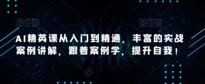 AI精英课从入门到精通，丰富的实战案例讲解，跟着案例学，提升自我！-最全资源库