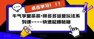 牛气学堂茶茶•拼多多运营玩法系列课—-快速起爆秘籍【更新】-最全资源库