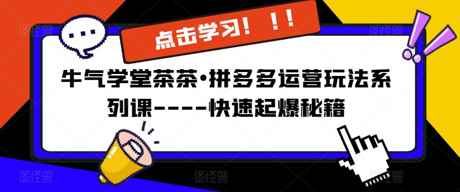 牛气学堂茶茶•拼多多运营玩法系列课—-快速起爆秘籍【更新】-最全资源库