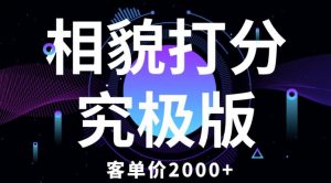 相貌打分究极版，客单价2000+纯新手小白就可操作的项目-最全资源库
