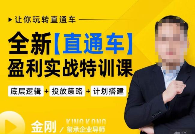 玺承·全新直通车盈利实战特训课,从底层逻辑详细拆解,从底层,策略到搭建,让你玩转直通车-最全资源库