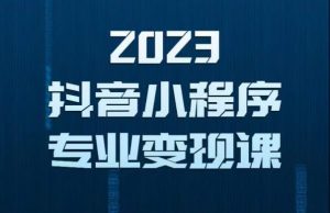 2023年抖音小程序变现保姆级教程,0粉丝新号,无需实名,3天起号,第1条视频就有收入-最全资源库