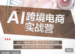 白龙老师·AI跨境电商实战营：从0-1精通Al的真正有效电商玩法，卖家如何利用Al快速超车-最全资源库