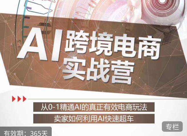 白龙老师·AI跨境电商实战营：从0-1精通Al的真正有效电商玩法，卖家如何利用Al快速超车-最全资源库