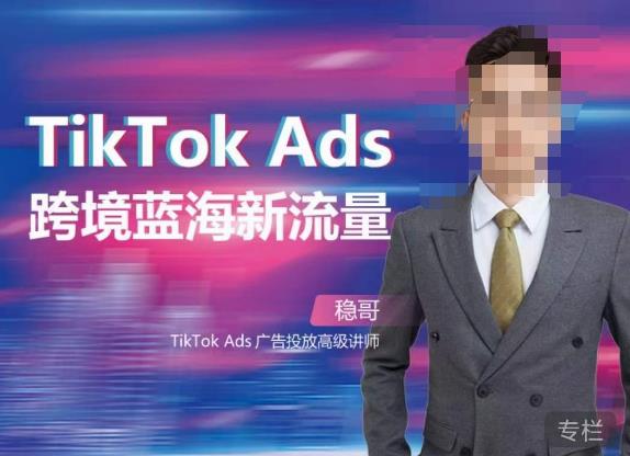 稳哥·如何投出高ROI的TikTok广告，开拓独立站卖家流量新蓝海-最全资源库