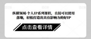 纵横领域·个人IP系列课程，直接可以使用落地，轻松打造出具有影响力的好IP-最全资源库