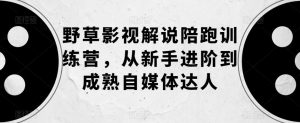 野草影视解说陪跑训练营，从新手进阶到成熟自媒体达人-最全资源库