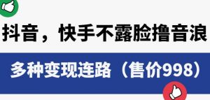抖音快手不露脸撸音浪项目，多种变现连路（售价998）-最全资源库