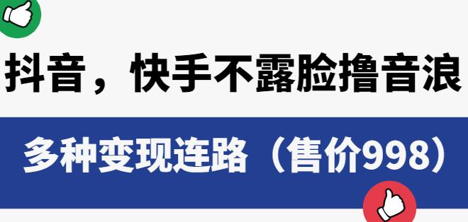 抖音快手不露脸撸音浪项目，多种变现连路（售价998）-最全资源库