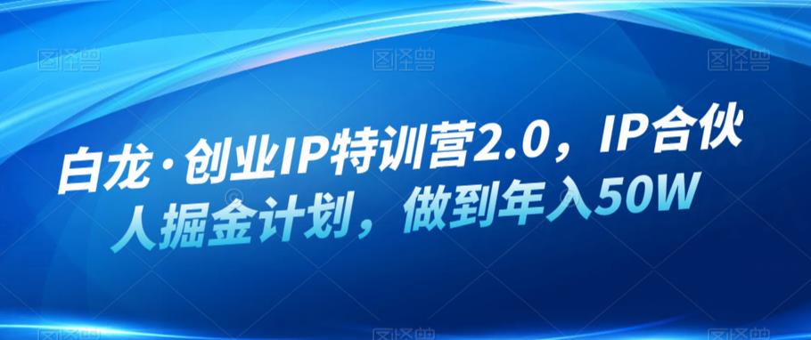白龙·创业IP特训营2.0，IP合伙人掘金计划，做到年入50W-最全资源库