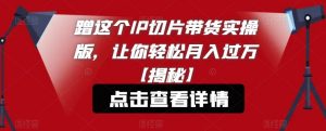 蹭这个IP切片带货实操版,让你轻松月入过万【揭秘】-最全资源库