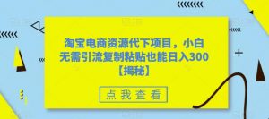 淘宝电商资源代下项目，小白无需引流复制粘贴也能日入300＋【揭秘】-最全资源库