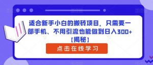 适合新手小白的搬砖项目，只需要一部手机、不用引流也能做到日入300+【揭秘】-最全资源库