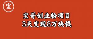 宝哥IP图文创业粉引流项目实战分享：单个账号3天涨粉1万，变现8万块钱（图文教程）【揭秘】-最全资源库