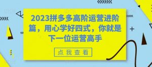 2023拼多多高阶运营进阶篇，用心学好四式，你就是下一位运营高手-最全资源库