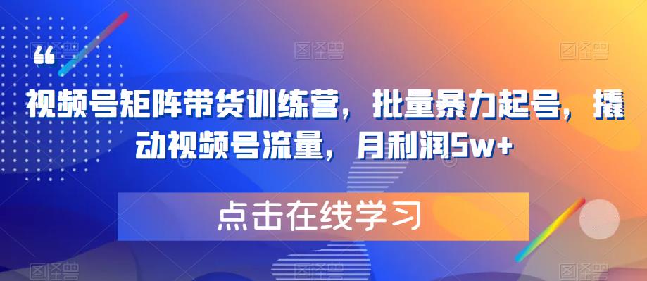 视频号矩阵带货训练营，批量暴力起号，撬动视频号流量，月利润5w+-最全资源库
