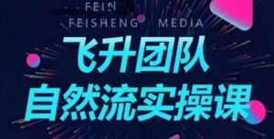 飞升团队课程自然流实操课，抖音半无人起号主播间搭建教学-最全资源库