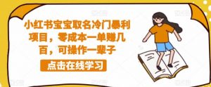 小红书宝宝取名冷门暴利项目，零成本一单赚几百，可操作一辈子-最全资源库