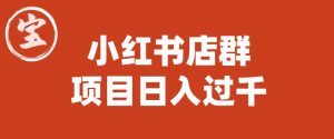 宝哥小红书店群项目，日入过千（图文教程）【揭秘】-最全资源库