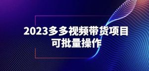 2023多多视频带货项目，可批量操作【保姆级教学】【揭秘】-最全资源库