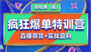 抖音短视频疯狂爆单特训营现场课（新）直播带货+实战案例-最全资源库