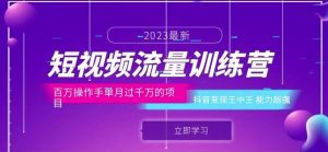 短视频流量训练营：百万操作手单月过千万的项目：抖音变现王中王能力超强-最全资源库