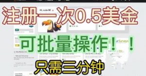 国外项目注册一次0.5美金，只需三分钟无脑操作，可批量同时放大操作，小白工作室福利【揭秘】-最全资源库