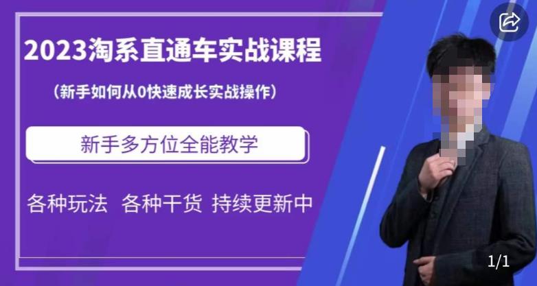 2023淘系直通车保姆式运营讲解，新手如何从0快速成长实战操作，新手多方位全能教学-最全资源库